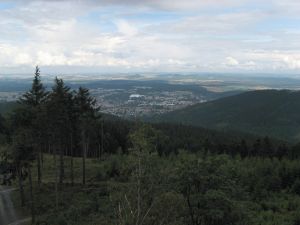 CO06_017 CO06_017